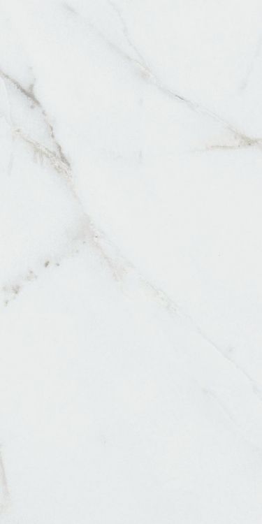 Origines Argent Matte 12 x 24
